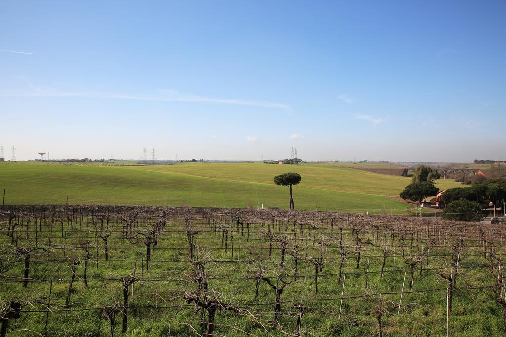 Séjour à la ferme Grappoli Di Sole *